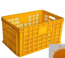 2019黃色母 2019黃色母