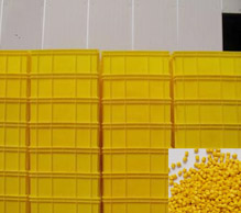 6491黃色母 6491黃色母