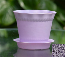 紫色母4195 紫色母4195