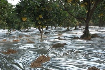 反光銀色母A5340 反光銀色母A5340